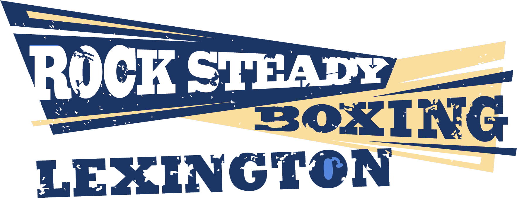 Rock Steady Boxing Lexington